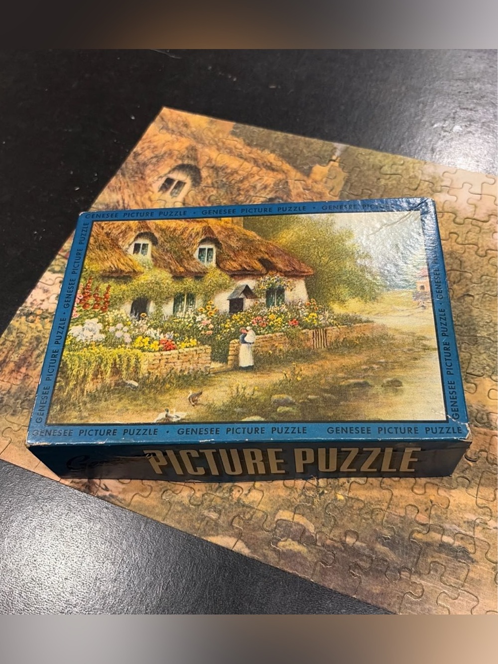Vintage EE Fairchild Genesee Picture Puzzle (250) Cottage By The River